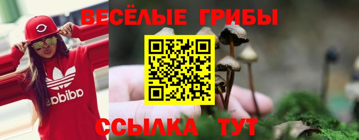 Дальнегорск  Галлюциногенные грибы прущие грибы  Вход с VPN 