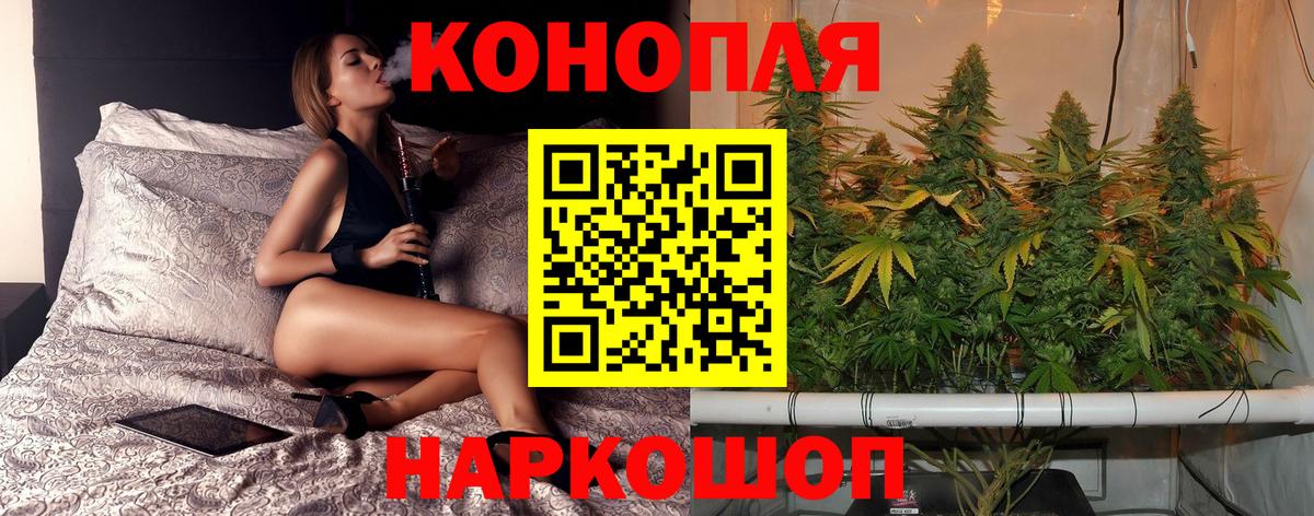 Конопля гибрид Дальнегорск